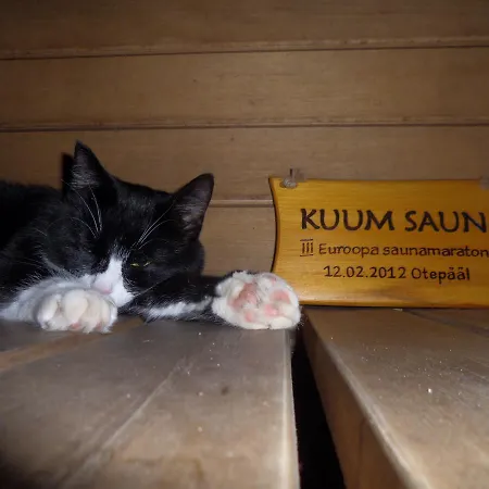 Metsatu Valge Elevandi Puhkemaja Casa de Férias