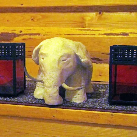 Metsatu Valge Elevandi puhkemaja