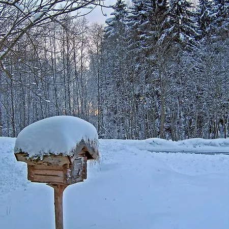 Metsatu Valge Elevandi puhkemaja