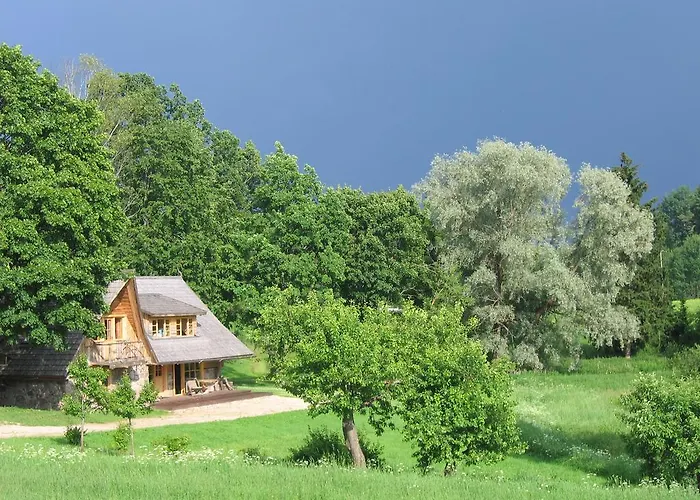 Metsatu Valge Elevandi Puhkemaja Дом отдыха Отепя