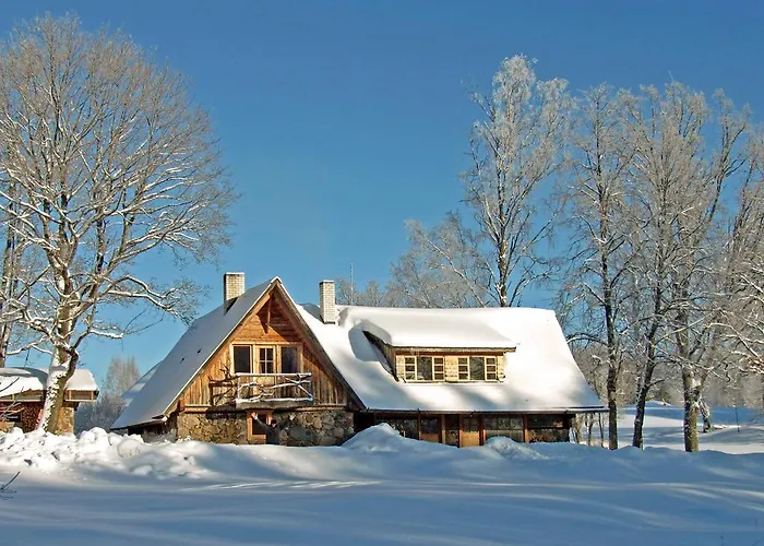 Metsatu Valge Elevandi Puhkemaja Отепя