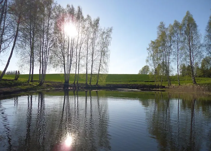 Metsatu Valge Elevandi Puhkemaja