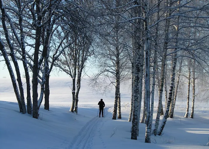 度假居 Metsatu Valge Elevandi Puhkemaja Otepää