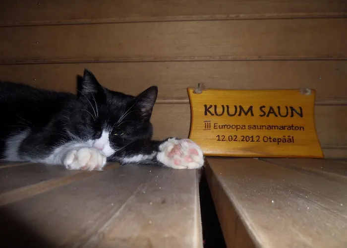 Metsatu Valge Elevandi Puhkemaja 度假居