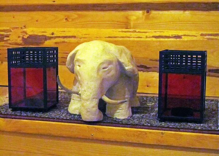 Metsatu Valge Elevandi Puhkemaja