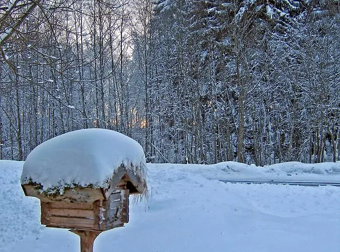 Metsatu Valge Elevandi Puhkemaja