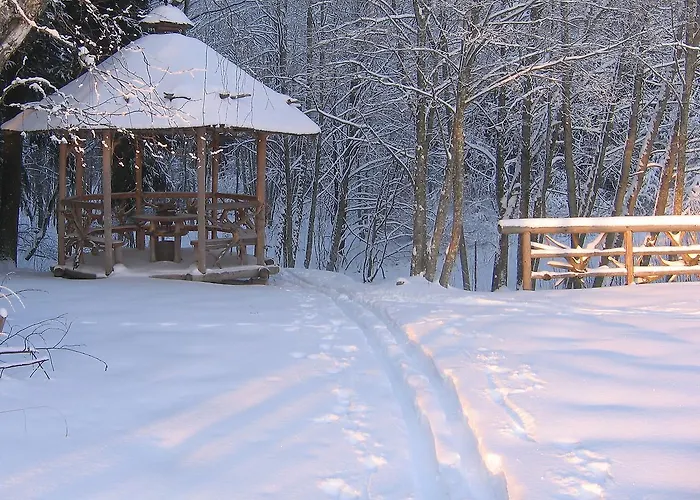 Metsatu Valge Elevandi Puhkemaja *